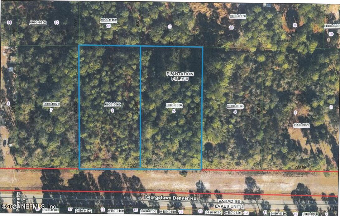 350-354 Georgetown Denver Road Georgetown, FL 32139 - Photo 5 of 6 a view of swimming pool and a yard