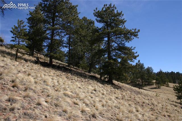 73 Arrowhead Road Florissant, CO 80816 - Photo 13 of 17