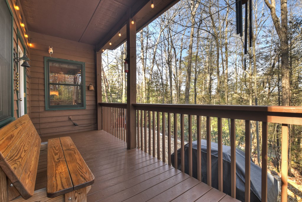 79 Icy Lane Blue Ridge, GA 30513 - Photo 32 of 44 Gallery Image 32