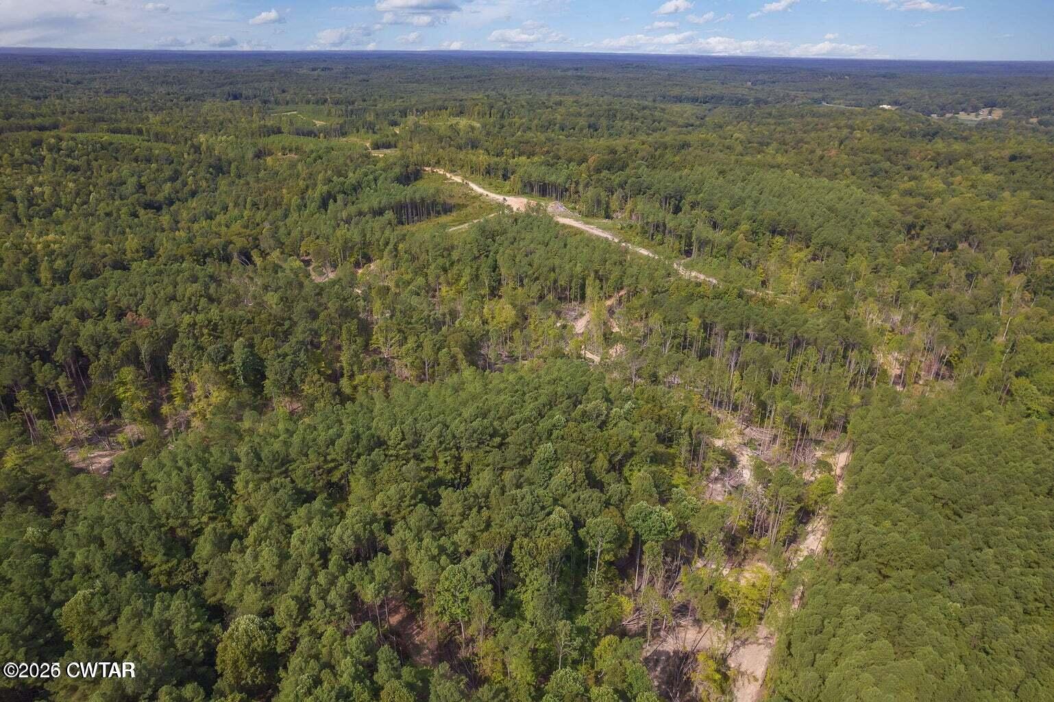 0 North Old Cave Springs Road Henderson, TN 38340 - Photo 1 of 1 photo