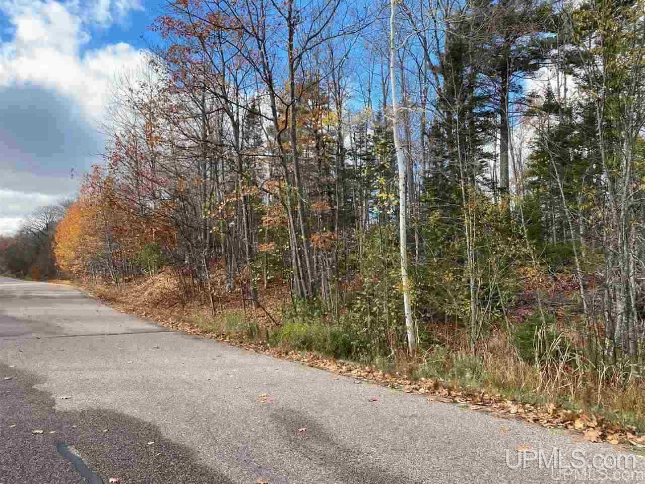 Tbd Lake Enchantment Road, Unit PARCEL 1 Marquette, MI 49855 - Photo 18 of 18