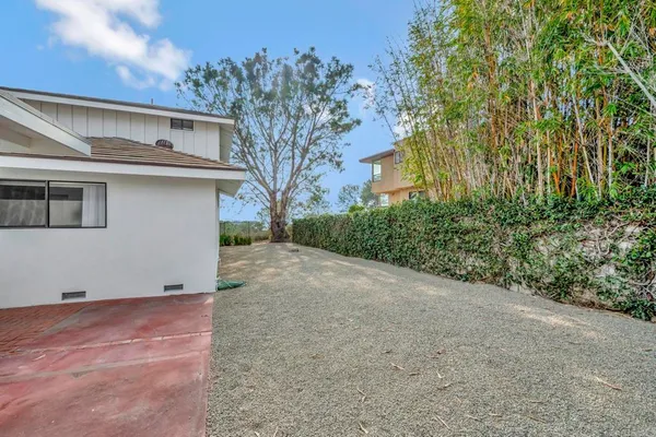 a view of a backyard with plants and large trees