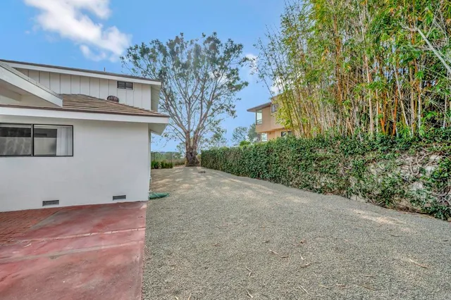 a view of a backyard with plants and large trees