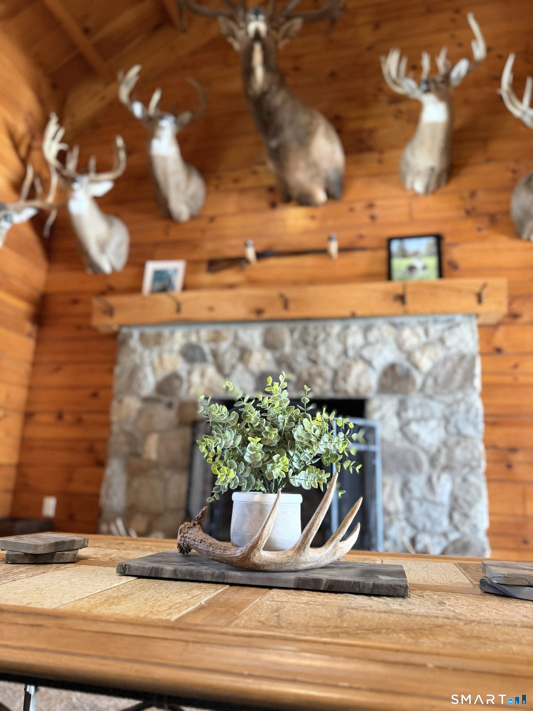 56 Reservoir Road Goshen, CT 06756 - Photo 15 of 39