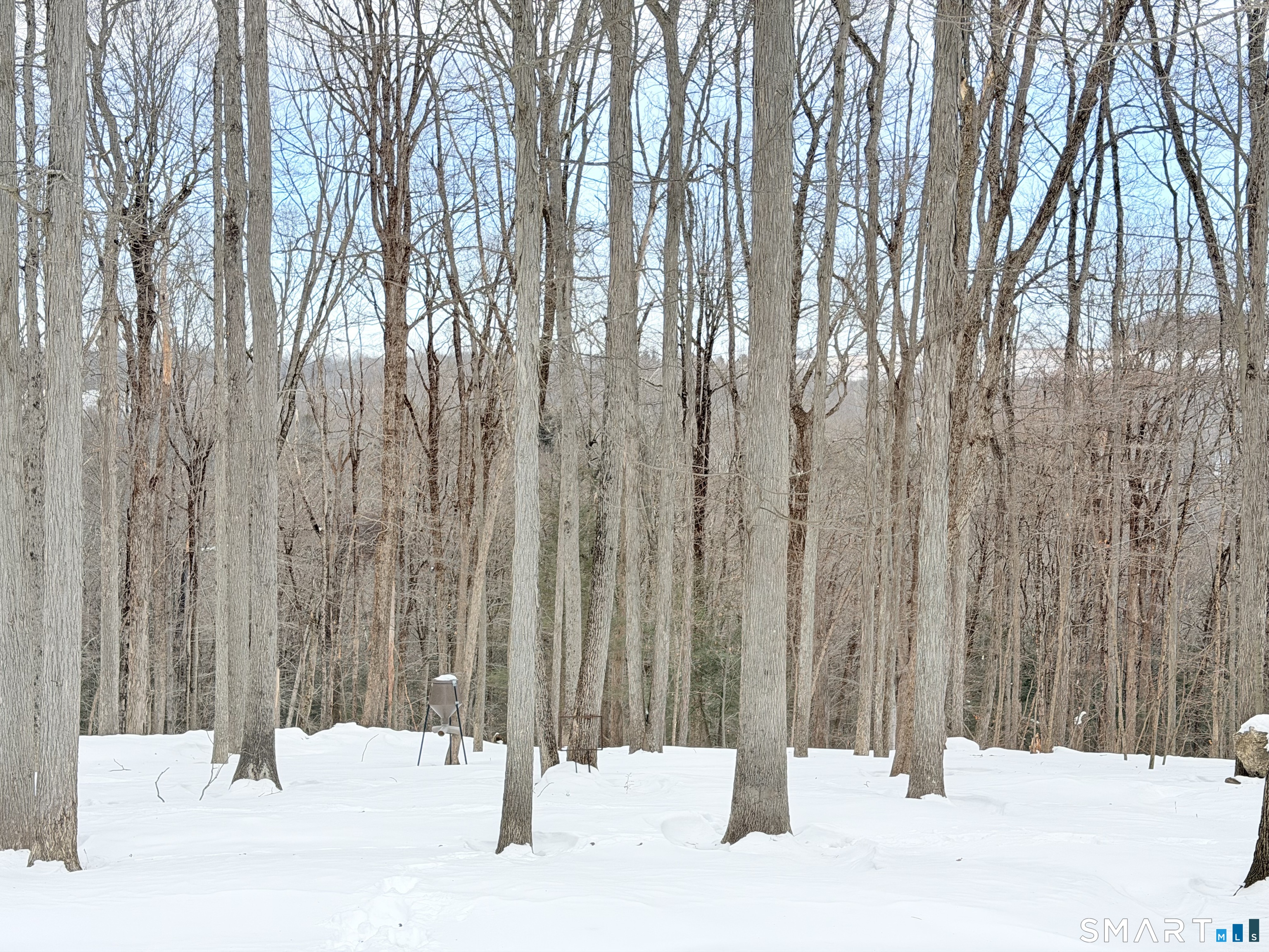 56 Reservoir Road Goshen, CT 06756 - Photo 37 of 39