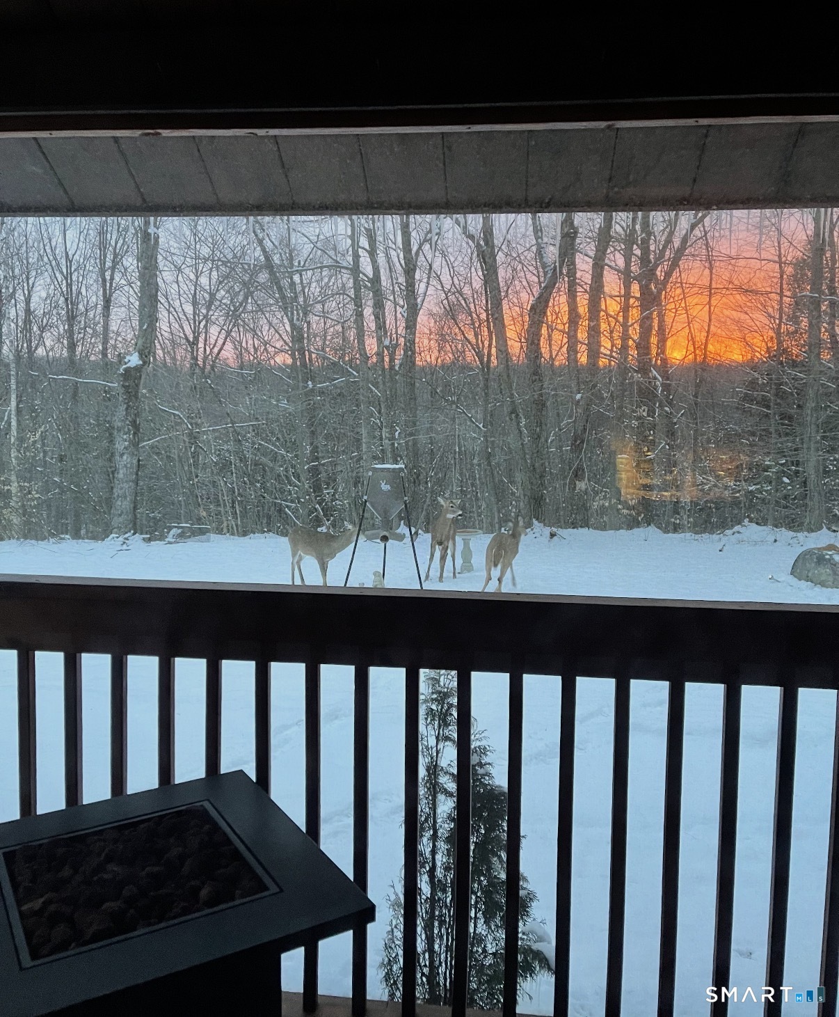 56 Reservoir Road Goshen, CT 06756 - Photo 38 of 39