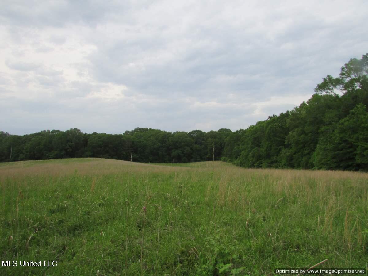 Vaughn Road Vaughan, MS 39179 - Photo 2 of 5 IMG_0055