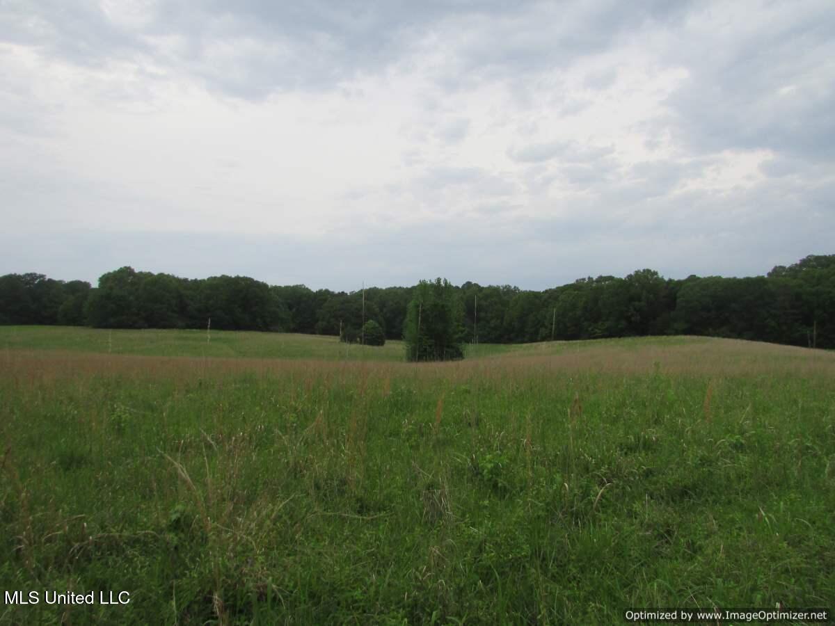 Vaughn Road Vaughan, MS 39179 - Photo 3 of 5 IMG_0056