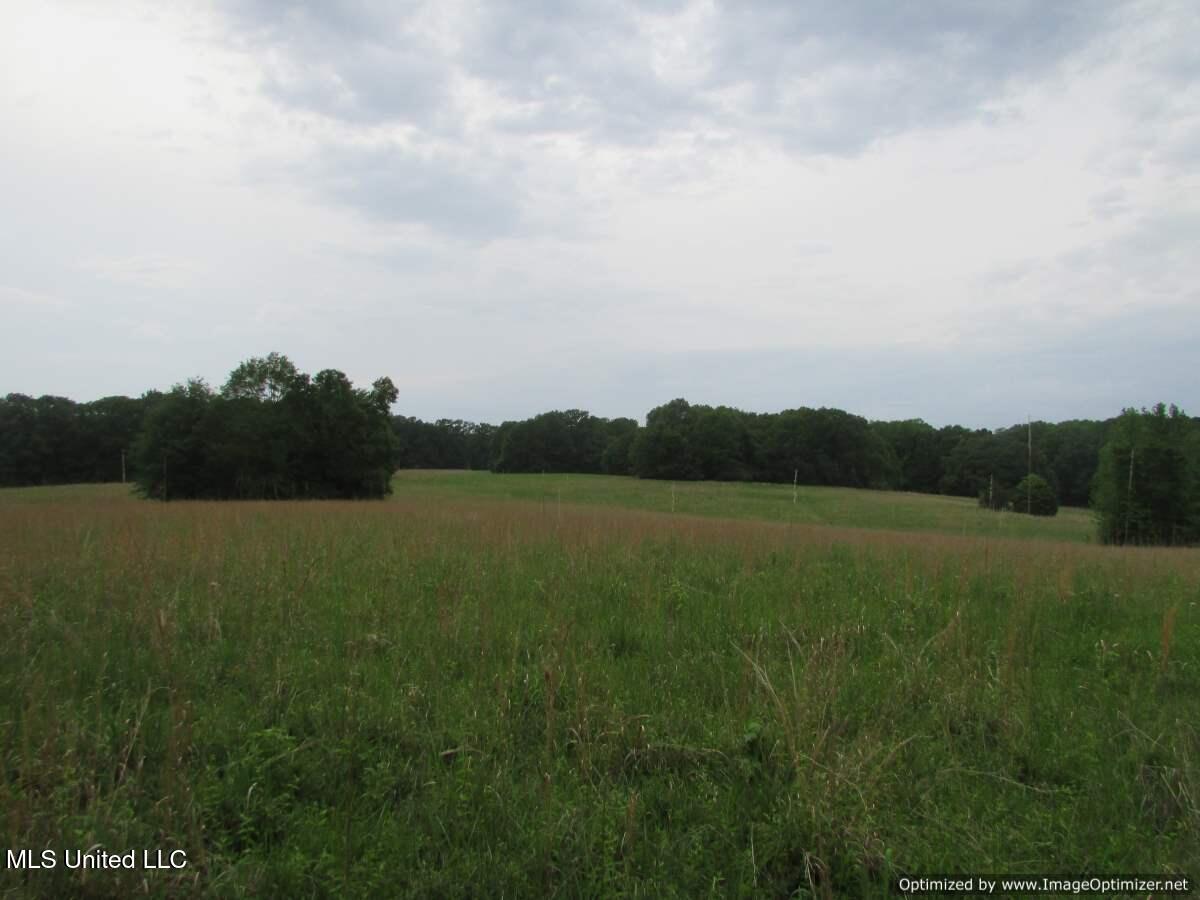 Vaughn Road Vaughan, MS 39179 - Photo 4 of 5 IMG_0057