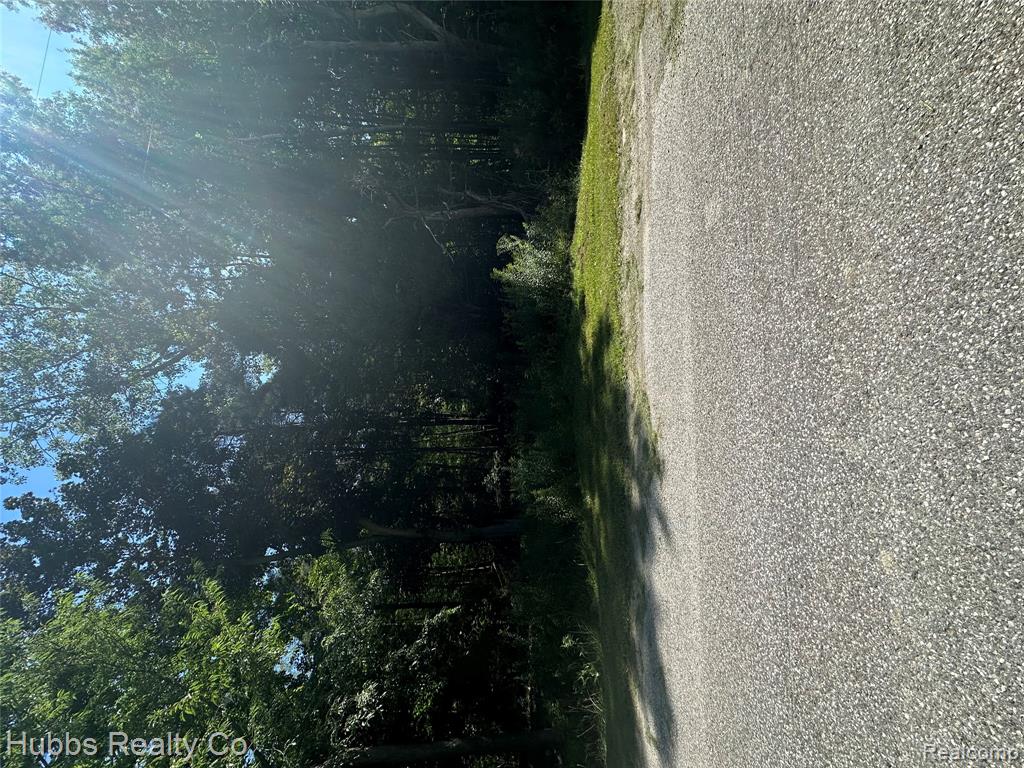 2935 Gary Road Montrose, MI 48457 - Photo 4 of 6