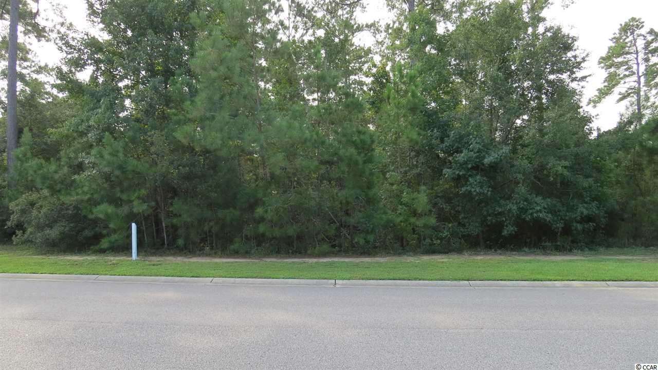 99 Knotty Pine Way Murrells Inlet, SC 29576 - Photo 1 of 19 Gallery Image 1