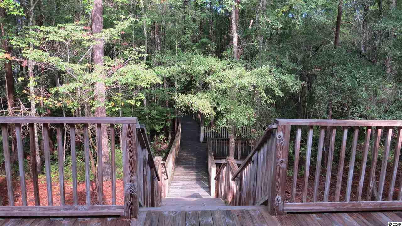 99 Knotty Pine Way Murrells Inlet, SC 29576 - Photo 12 of 19 Gallery Image 12