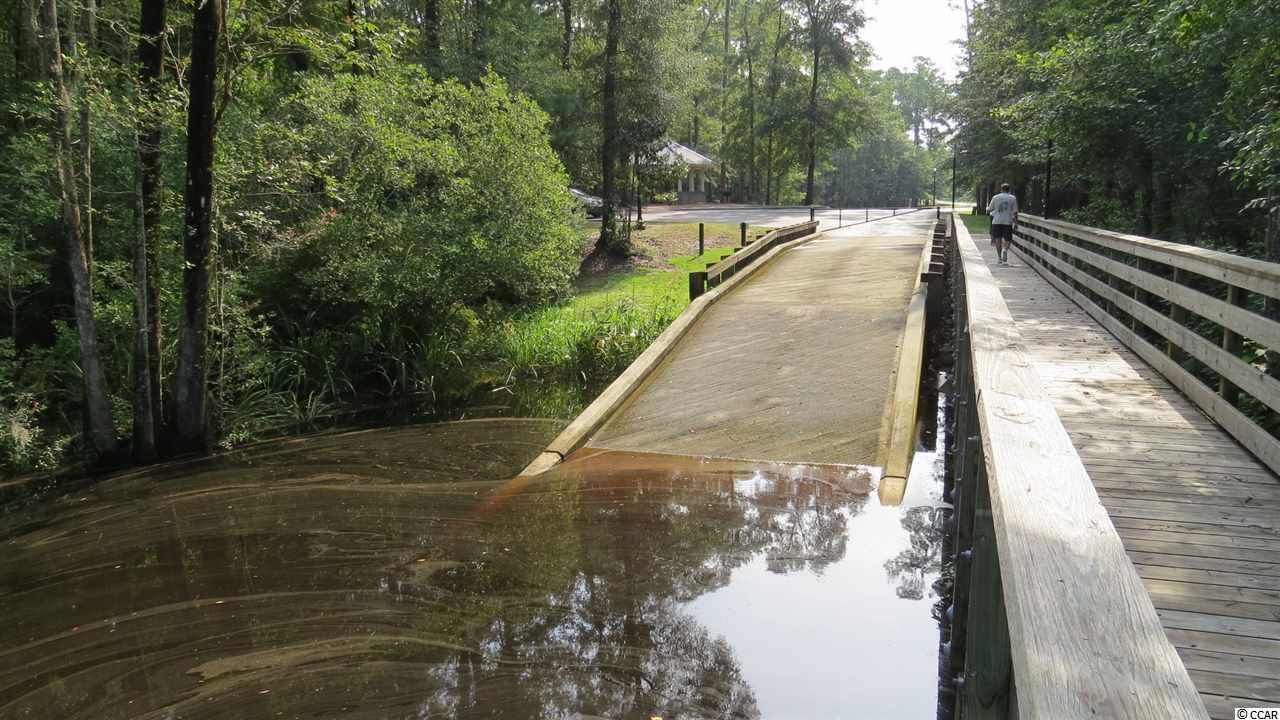 99 Knotty Pine Way Murrells Inlet, SC 29576 - Photo 15 of 19 Gallery Image 15