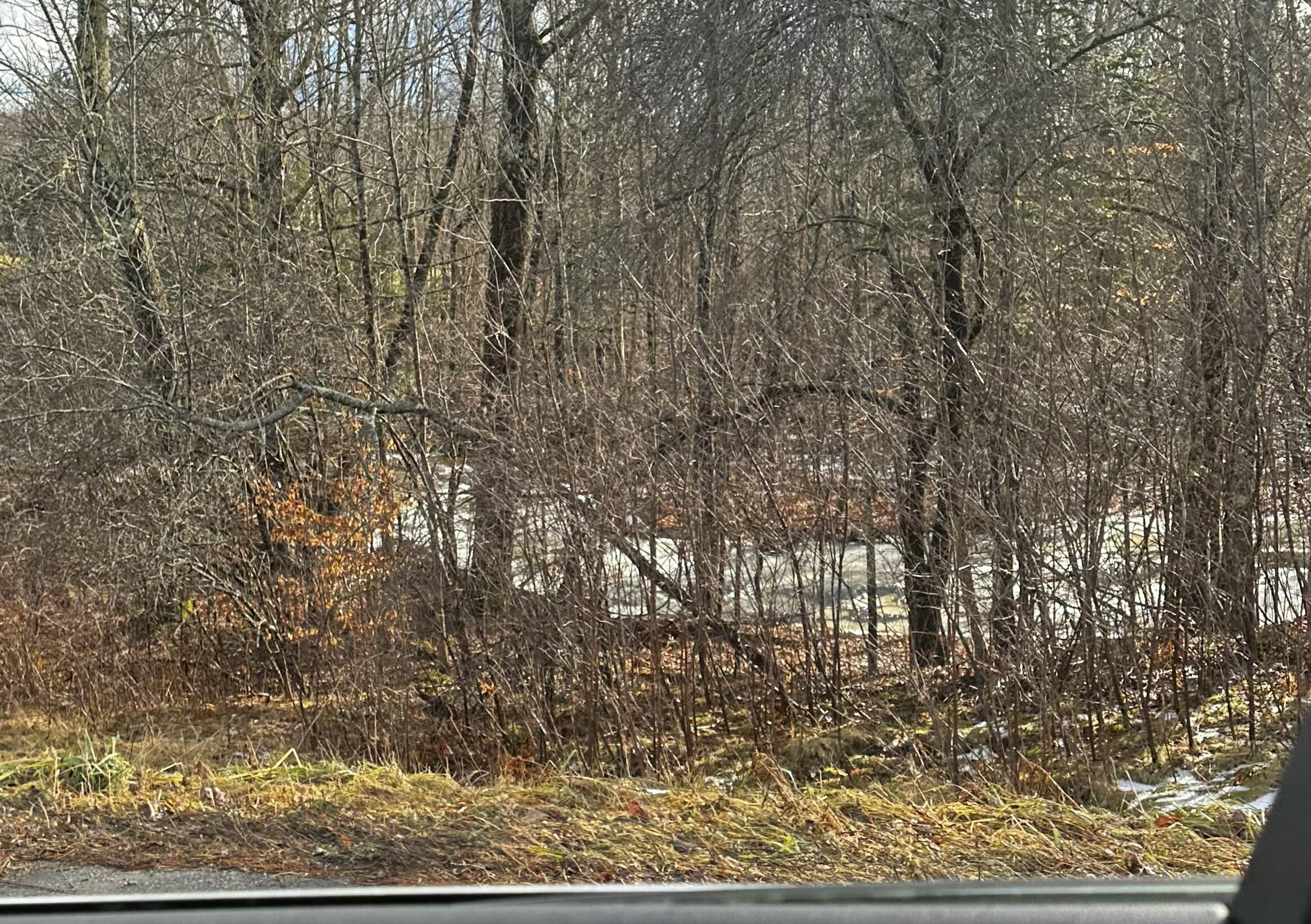 202 Unity Me 04988 Unity, ME 04988 - Photo 4 of 7 tempImageS9Pzto