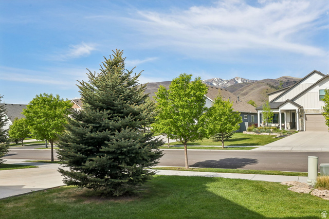 1238 Canyon View Road Midway, UT 84049 - Photo 31 of 36 Modern residential street featuring a manicured lawn, established trees, and a concrete driveway