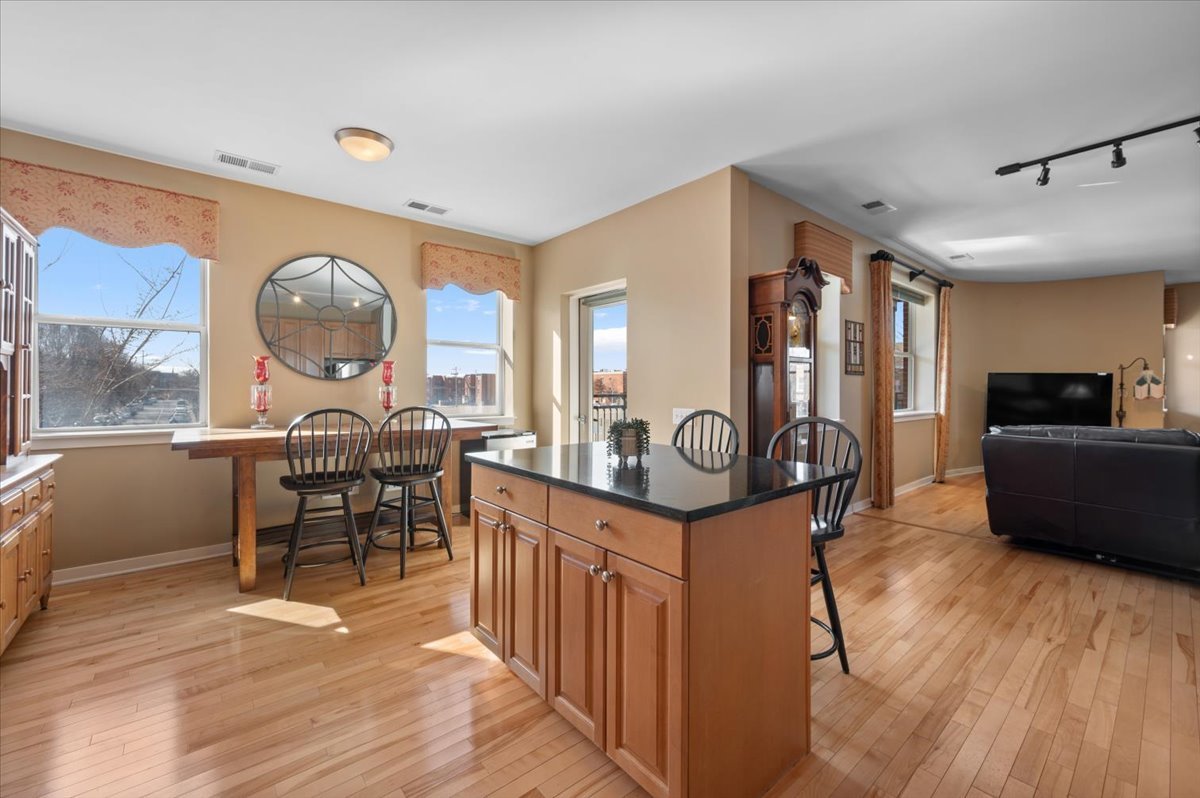 927 South Lytle Street Chicago, IL 60607 - Photo 12 of 32