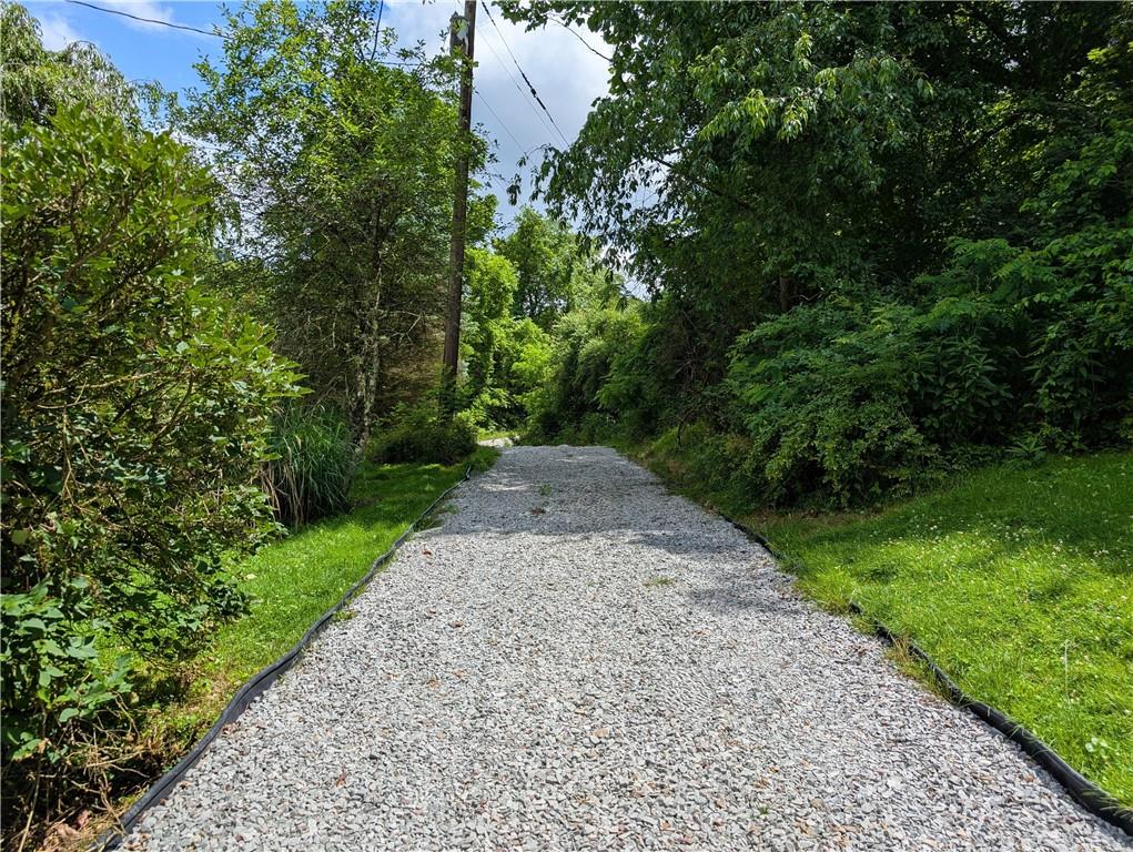 555 Steel Hill Road Mount Morris, PA 15349 - Photo 4 of 19 a view of a dry yard with trees