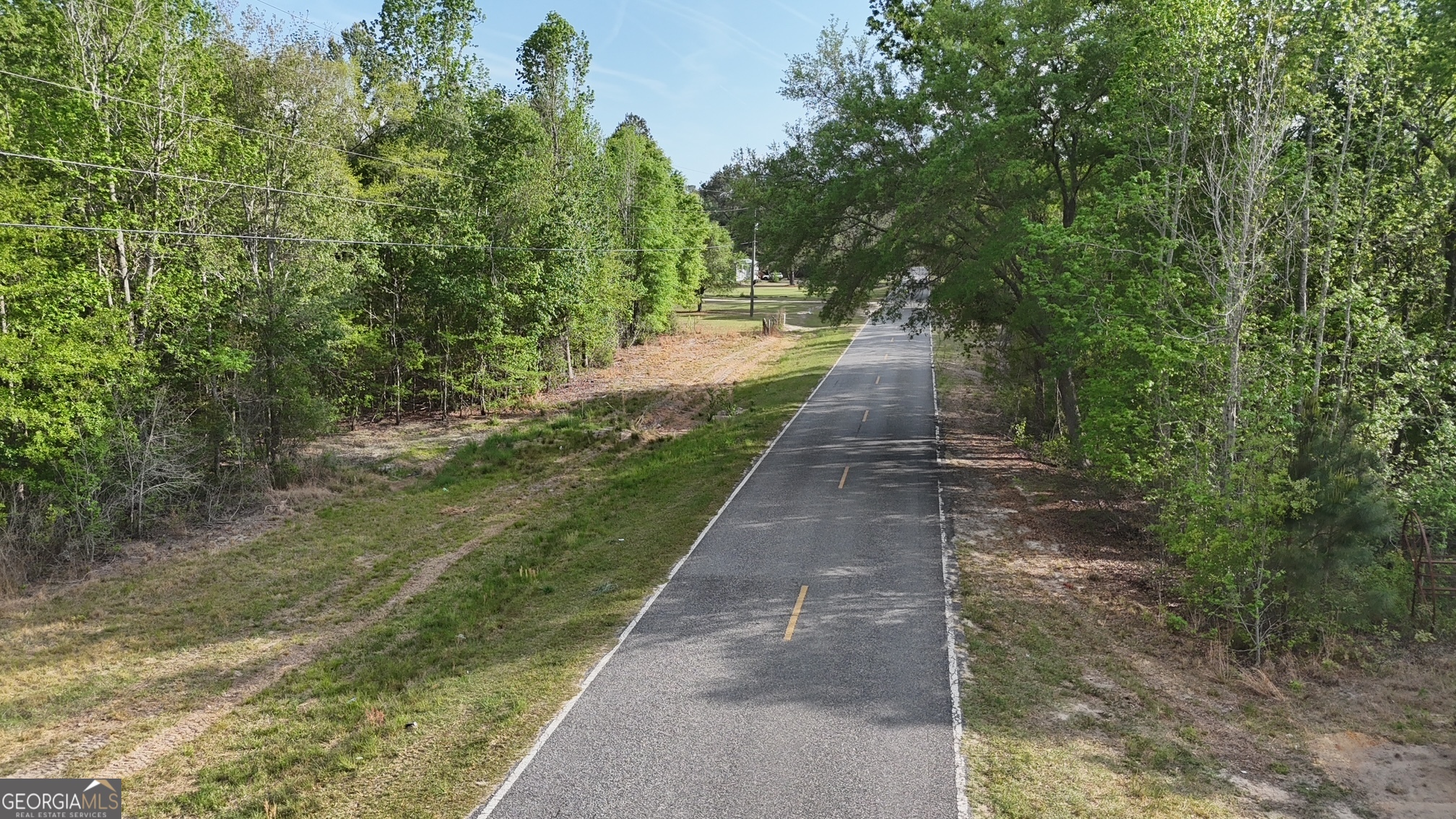 2 Spring Branch Road Baxley, GA 31513 - Photo 13 of 18 a view of a pathway with a yard