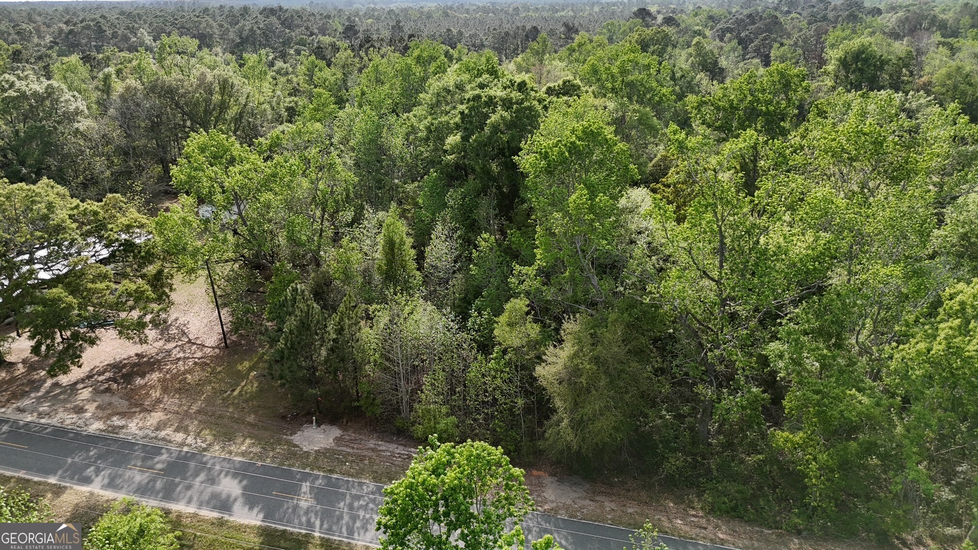 2 Spring Branch Road Baxley, GA 31513 - Photo 16 of 18 a view of a forest with large trees