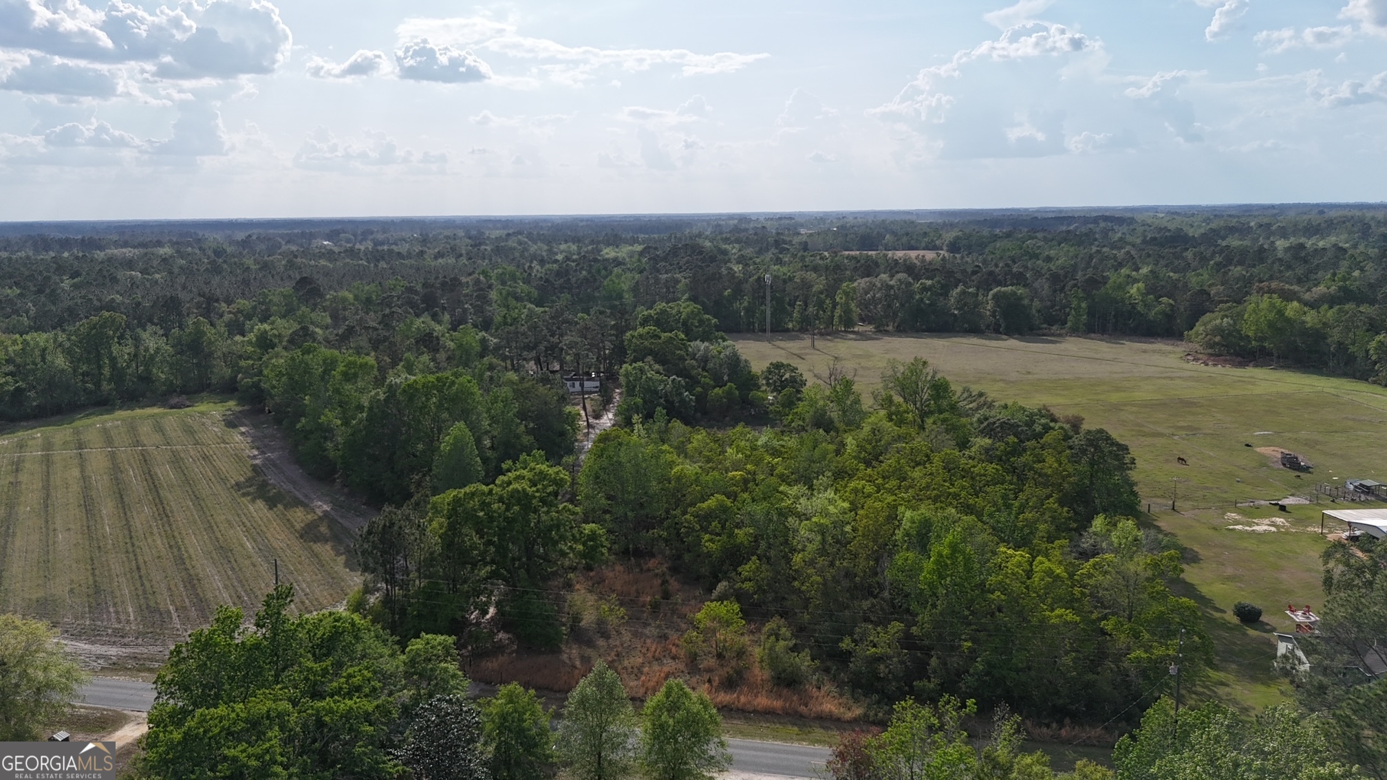 2 Spring Branch Road Baxley, GA 31513 - Photo 2 of 18 a view of a yard