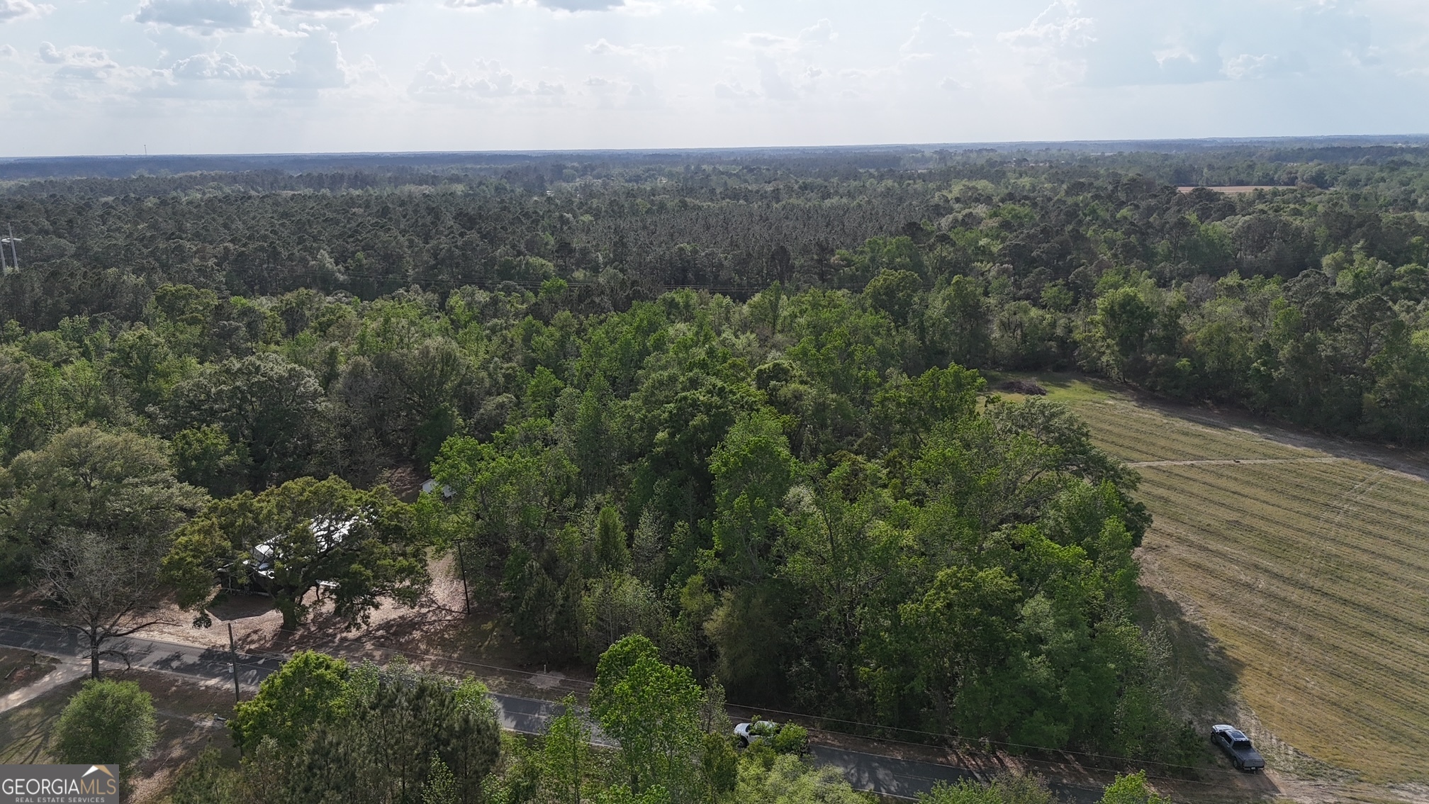 2 Spring Branch Road Baxley, GA 31513 - Photo 4 of 18 an aerial view of forest
