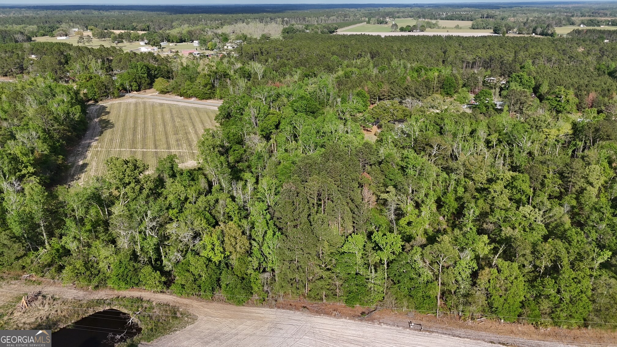 2 Spring Branch Road Baxley, GA 31513 - Photo 8 of 18 a view of a yard
