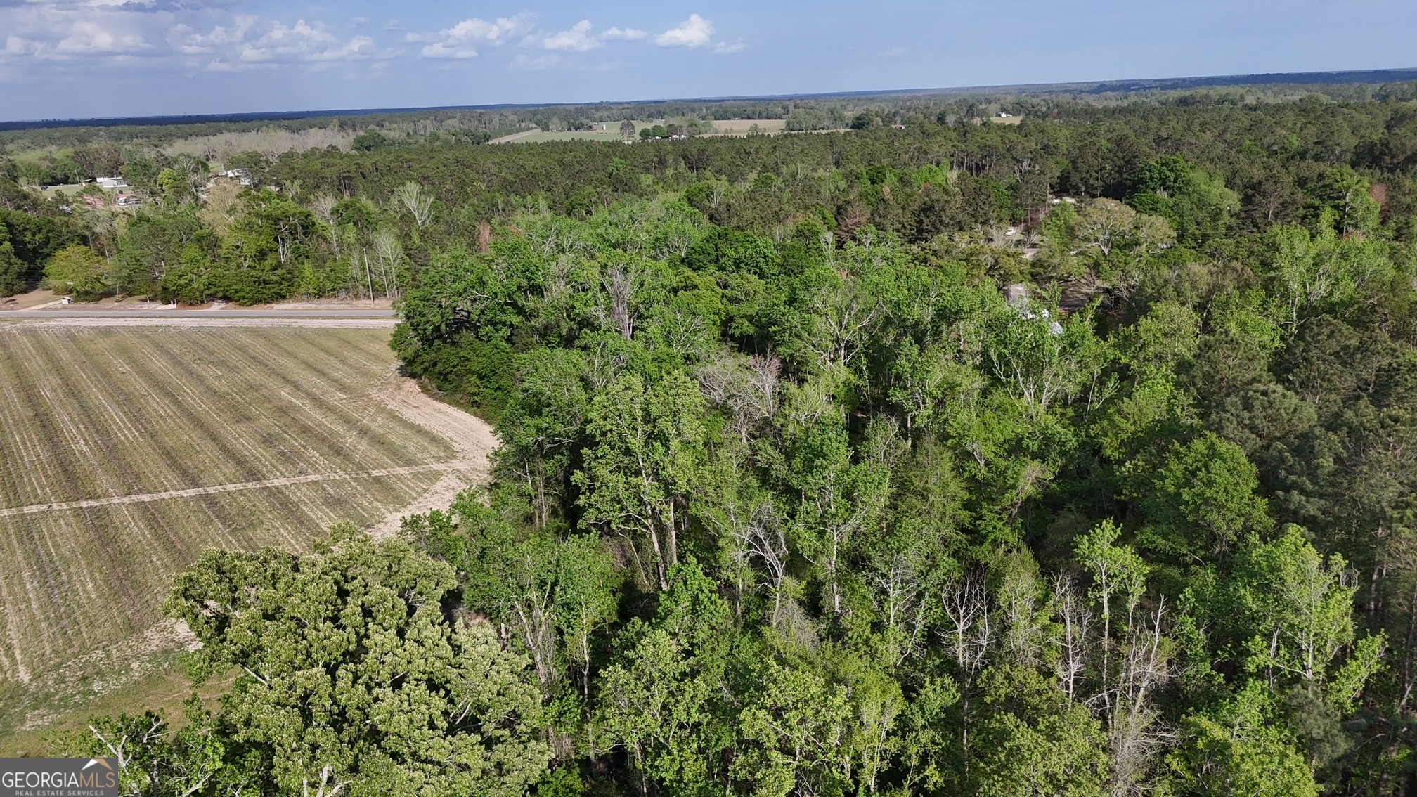 2 Spring Branch Road Baxley, GA 31513 - Photo 10 of 18 a view of outdoor space and yard
