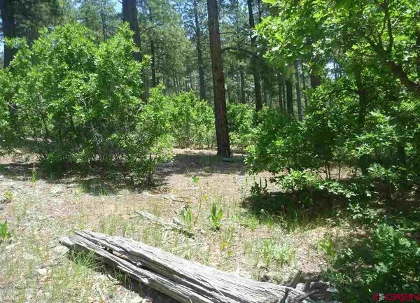 a view of backyard with green space