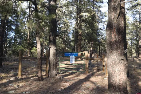$159,900 | 966 Starling Circle, Pagosa Springs, CO 81147
