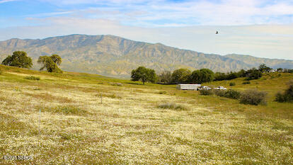 0 Wasioja Road Cuyama, CA 93254 - Photo 2 of 12 IMG_8958-Motion