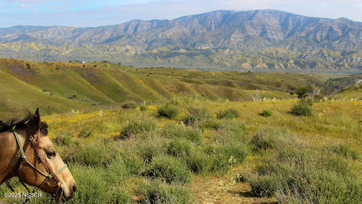 0 Wasioja Road Cuyama, CA 93254 - Photo 9 of 12 IMG_8920-Motion
