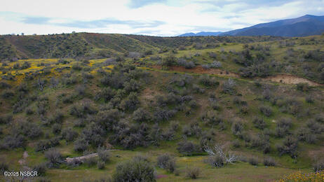 0 Wasioja Road Cuyama, CA 93254 - Photo 10 of 12 IMG_8878-Motion