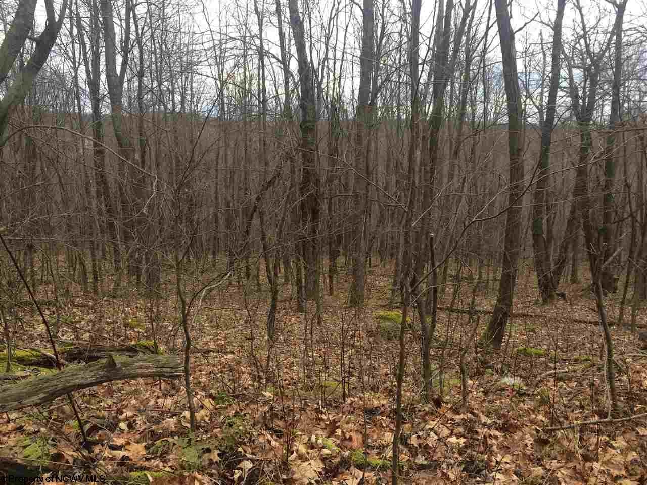 4 Cranesville Road Terra Alta, WV 26764 - Photo 13 of 18 Gallery Image 13