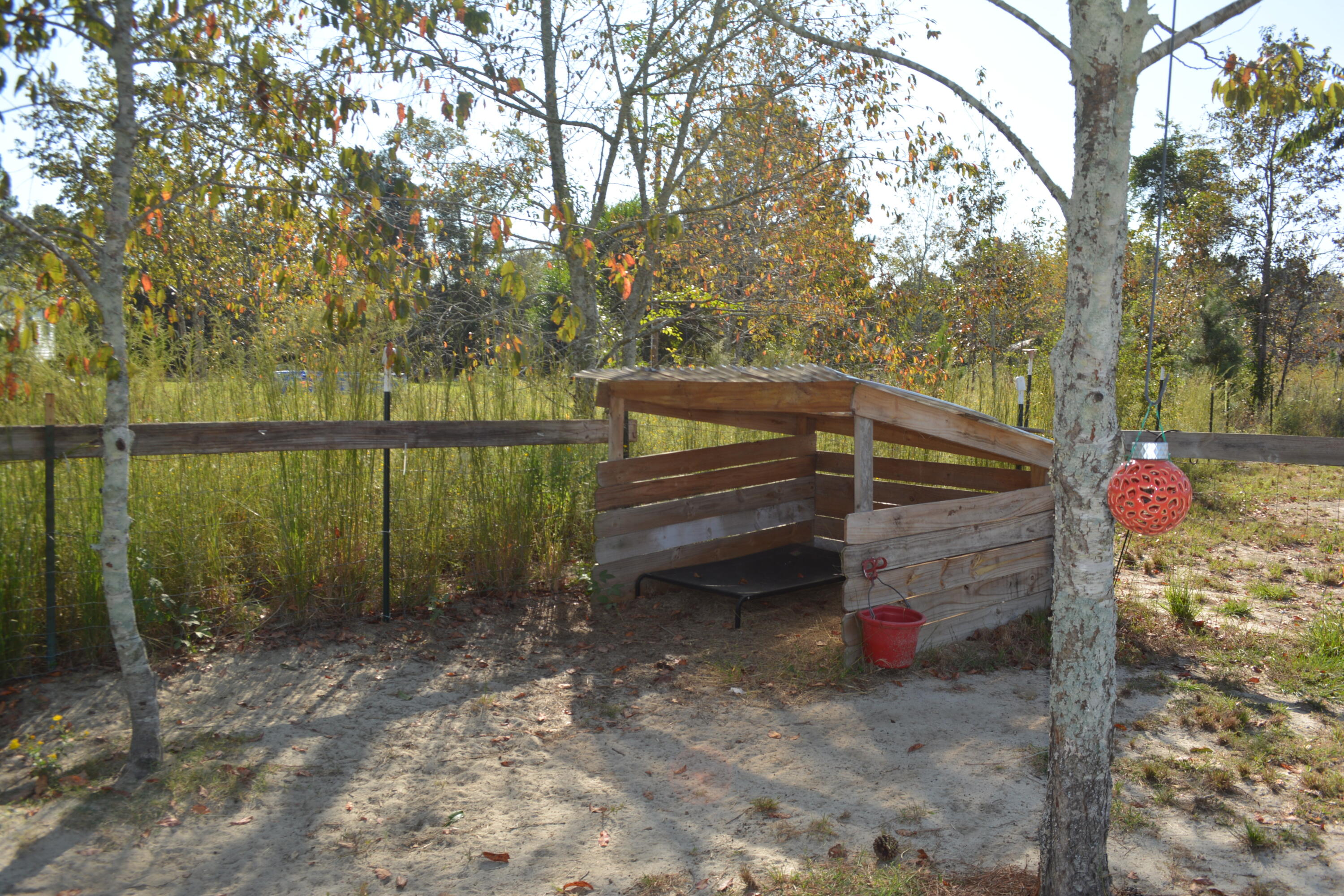 1508 Old Shoals Road Monetta, SC 29105 - Photo 50 of 63