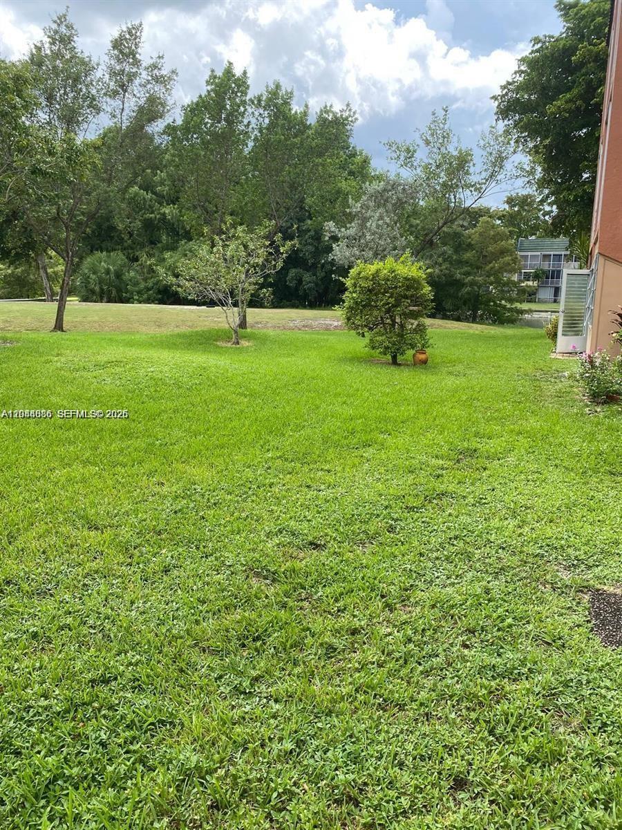 8838 West McNab Road, Unit 104 Tamarac, FL 33321 - Photo 23 of 23 a garden with trees in the background