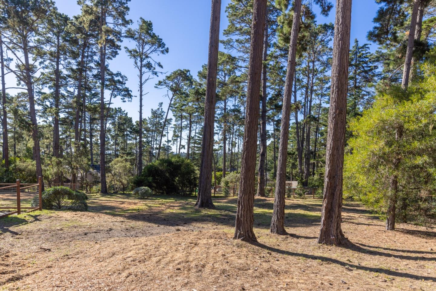 1424 Oleada Road Pebble Beach, CA 93953 - Photo 25 of 30 a view of a tree in the middle of a yard