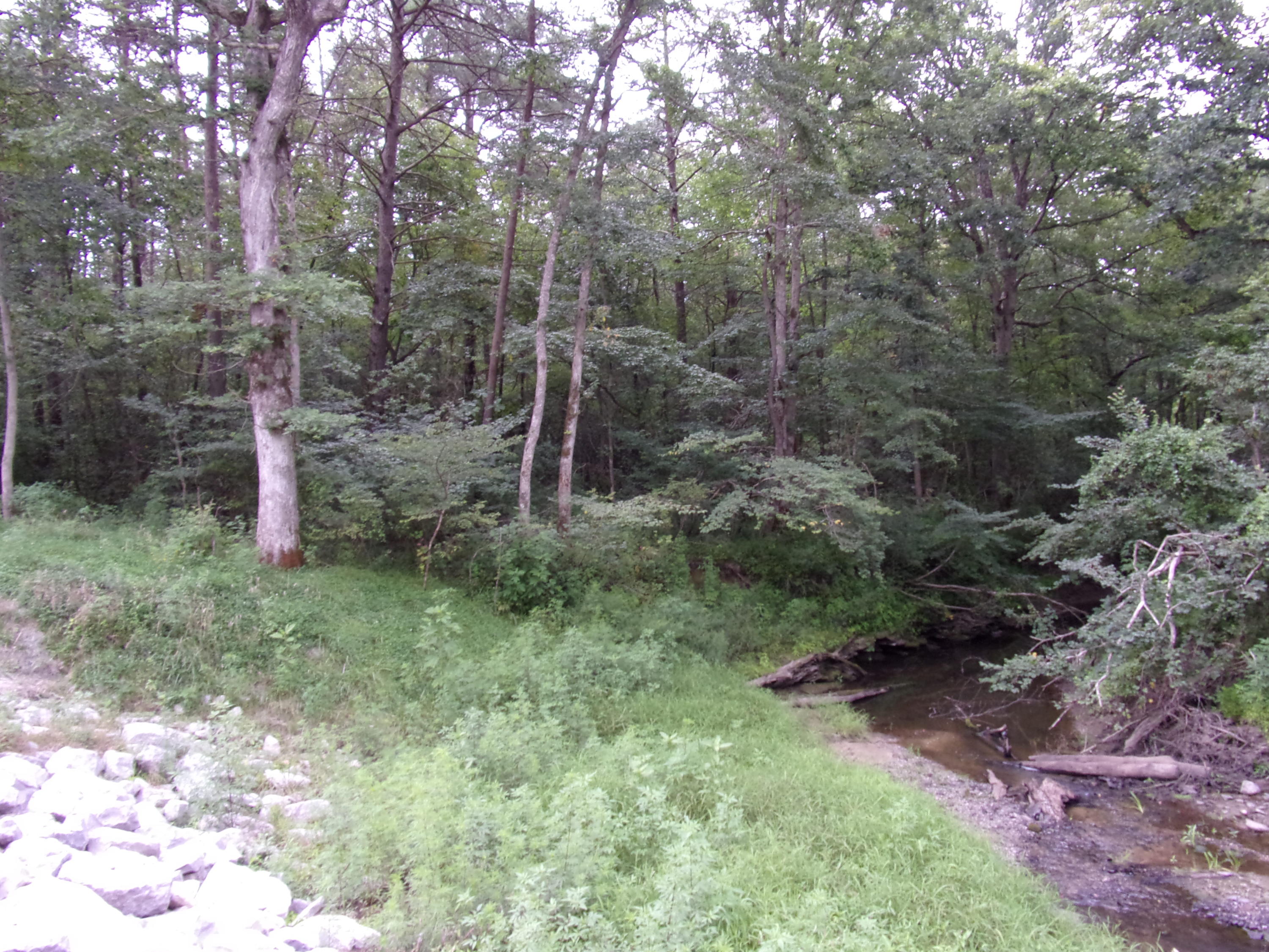 0 Cedar Road, Unit 29 Pikeville, TN 37367 - Photo 1 of 19 101_0177