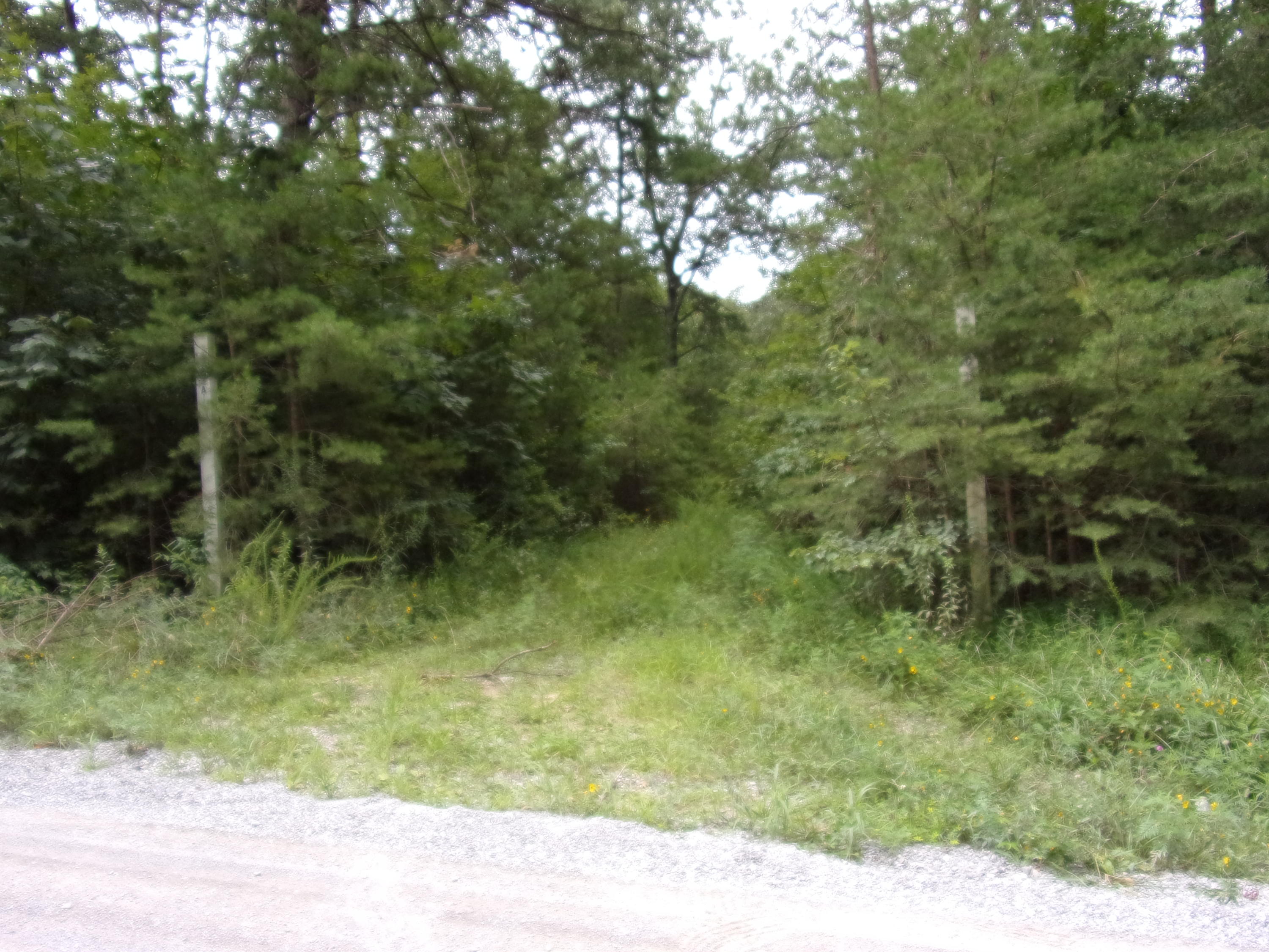 0 Cedar Road, Unit 29 Pikeville, TN 37367 - Photo 17 of 19 101_0169