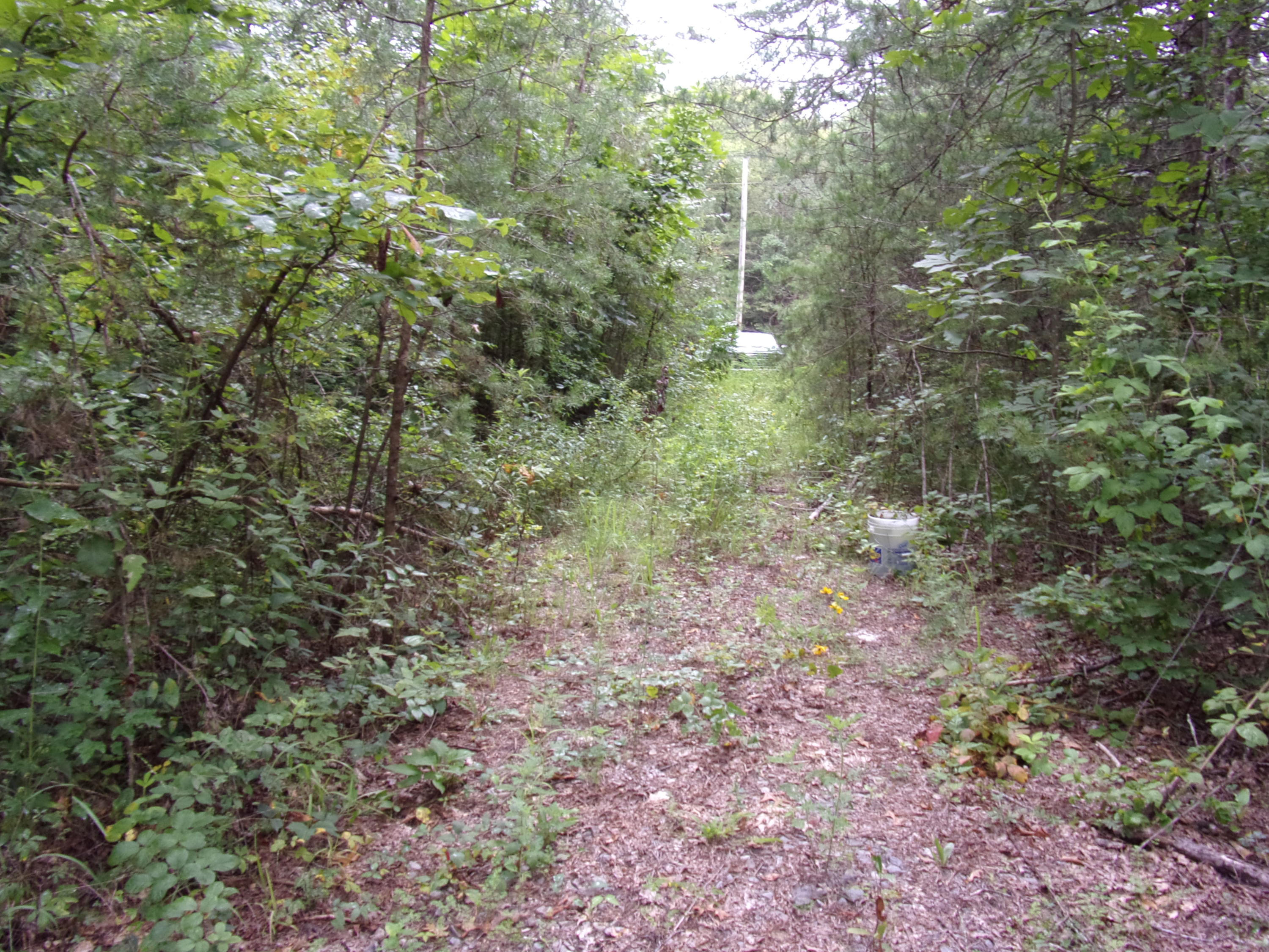 0 Cedar Road, Unit 29 Pikeville, TN 37367 - Photo 3 of 19 101_0160