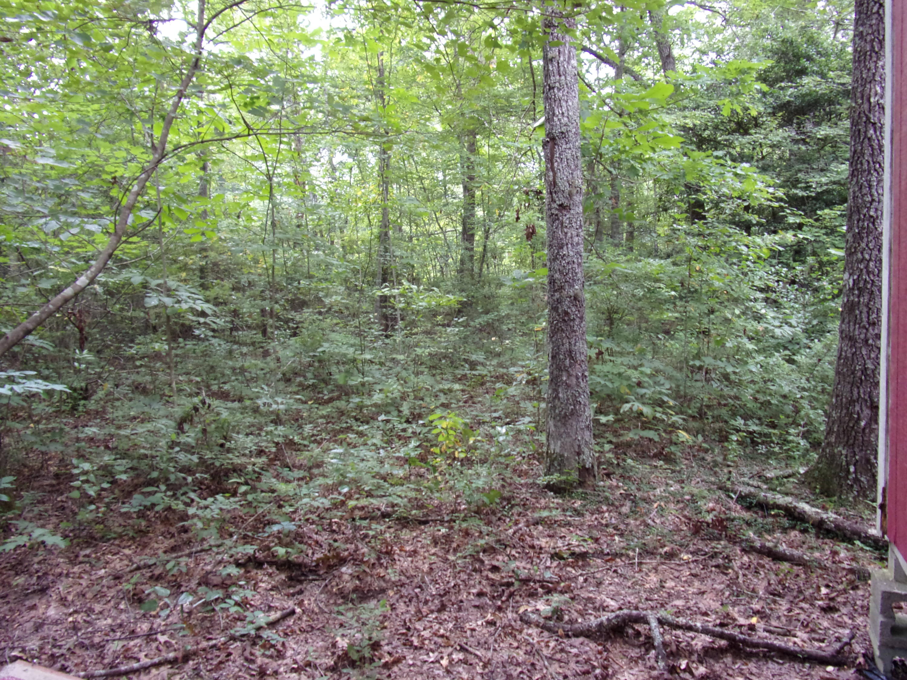 0 Cedar Road, Unit 29 Pikeville, TN 37367 - Photo 4 of 19 101_0161
