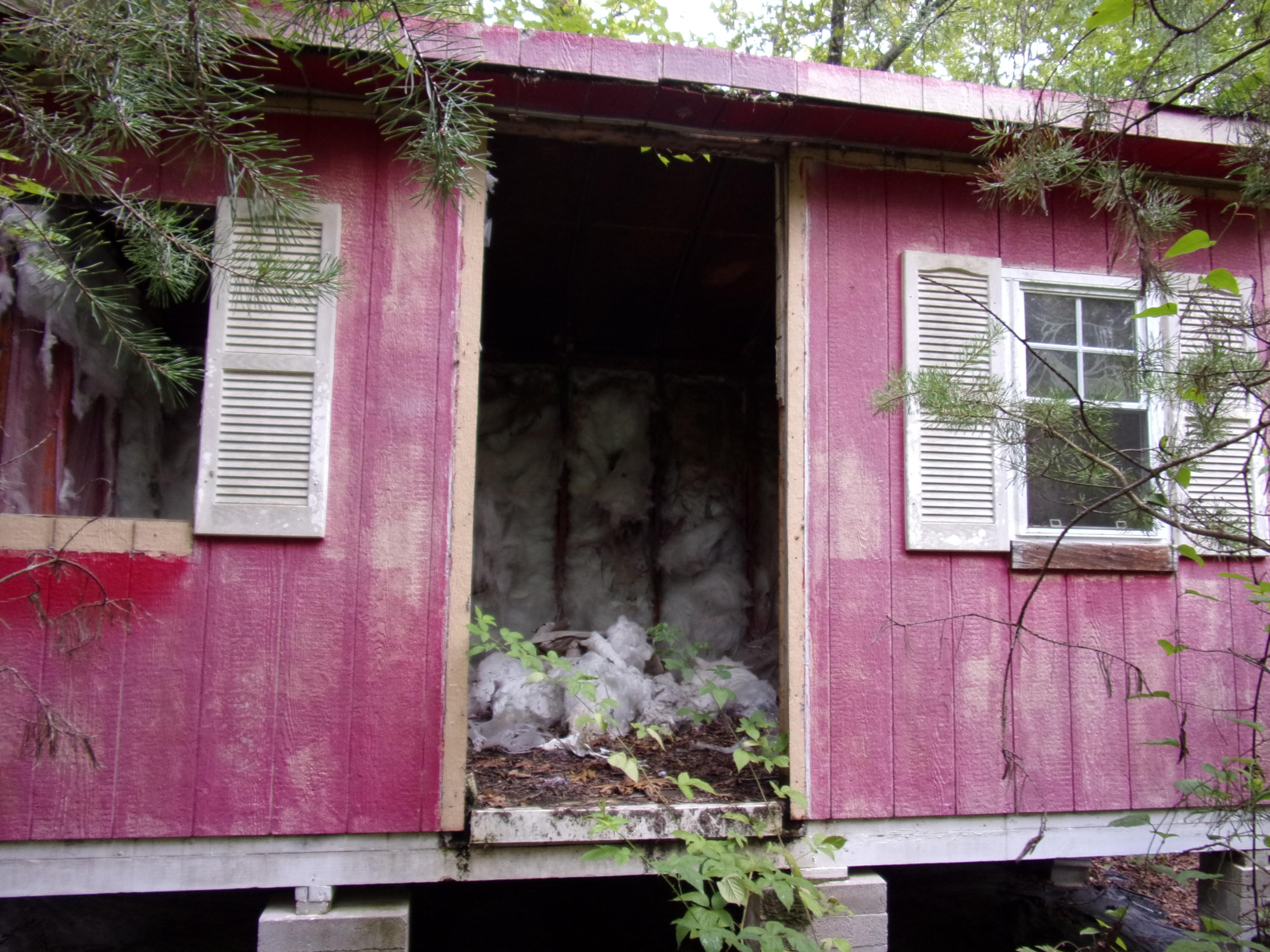 0 Cedar Road, Unit 29 Pikeville, TN 37367 - Photo 6 of 19 101_0163
