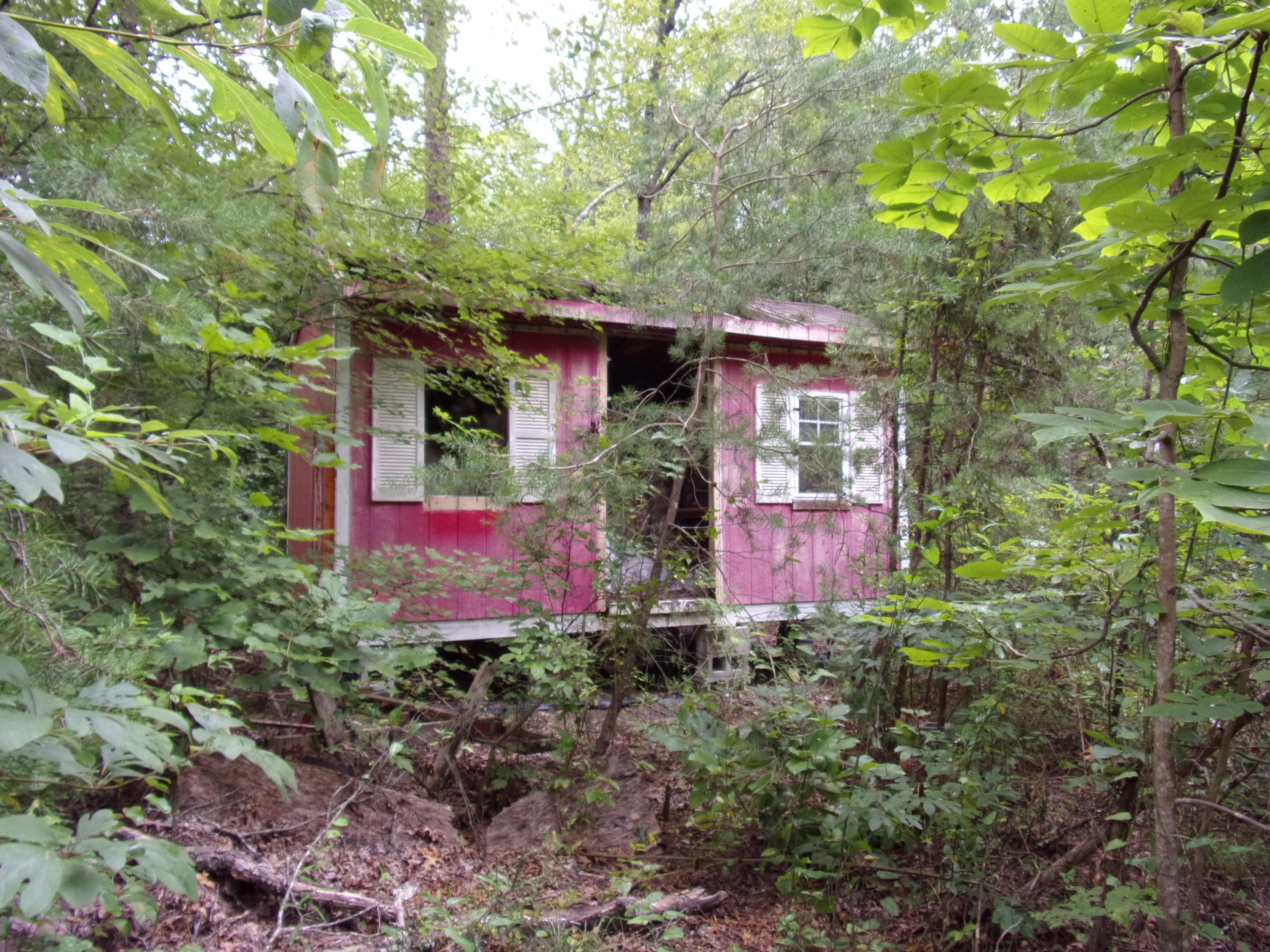 0 Cedar Road, Unit 29 Pikeville, TN 37367 - Photo 7 of 19 101_0164