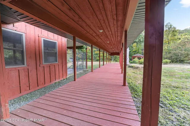 a view of dirt yard with large trees