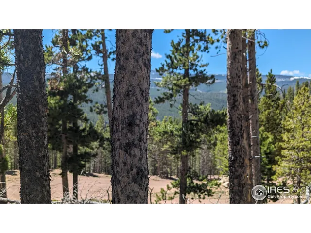 $84,900 | 37 Shasta Way, Red Feather Lakes, CO 80545