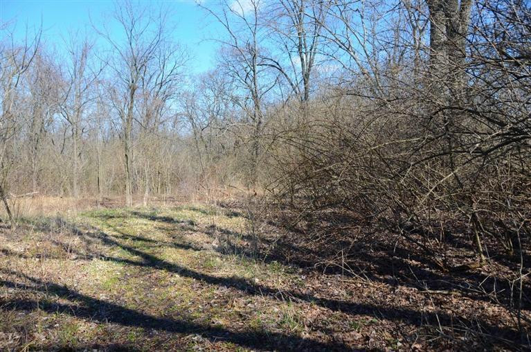 8762 Locust Grove Road Burlington, KY 41005 - Photo 21 of 24 Gallery Image 21