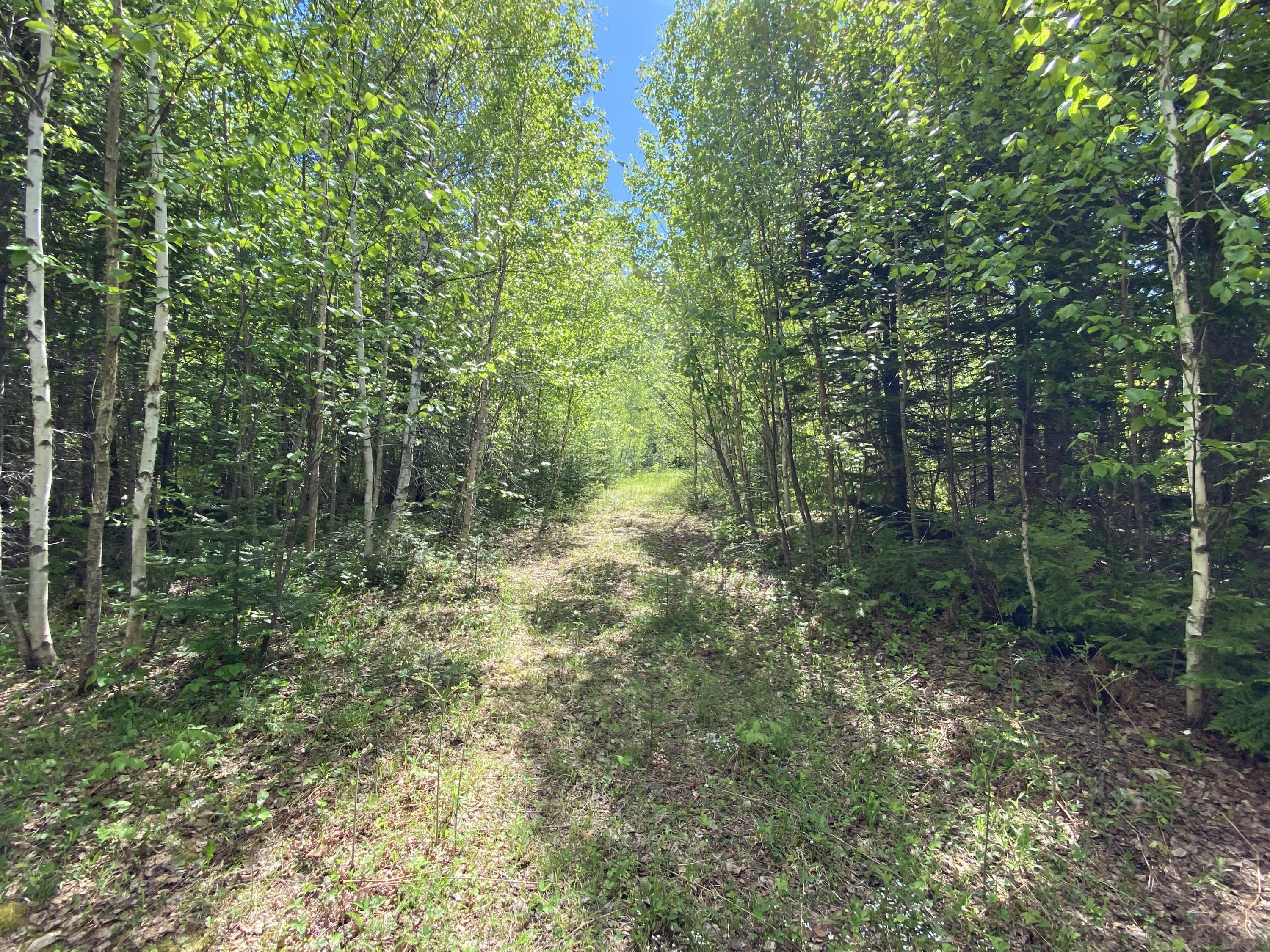 185 Mattakeunk Road Winn, ME 04495 - Photo 10 of 17 A75F0E57-F835-49A7-8357-49F4D433FEDE