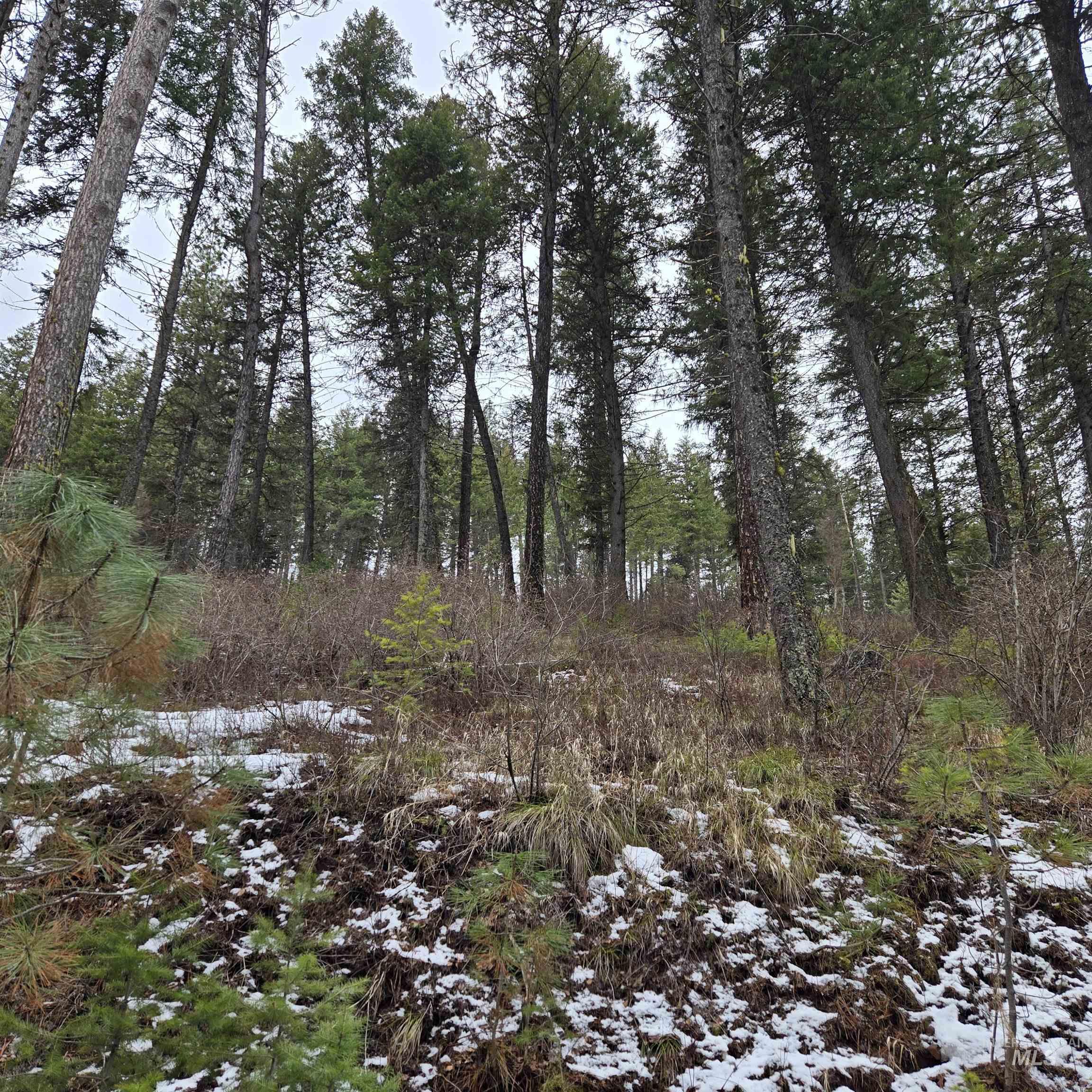 Tbd Granite View Road New Meadows, ID 83654 - Photo 7 of 9