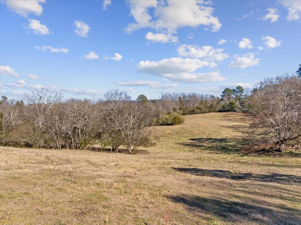 Lot17-18 Old Babb Road Rocky Face, GA 30740 - Photo 1 of 5 Main View