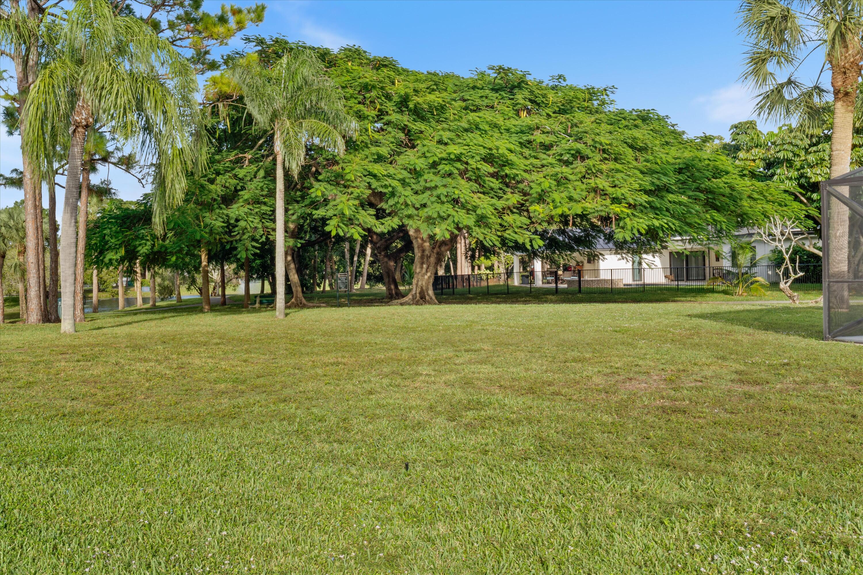 21766 Beachnut Drive Boca Raton, FL 33433 - Photo 53 of 64 a backyard of a house with lots of green space and fountain