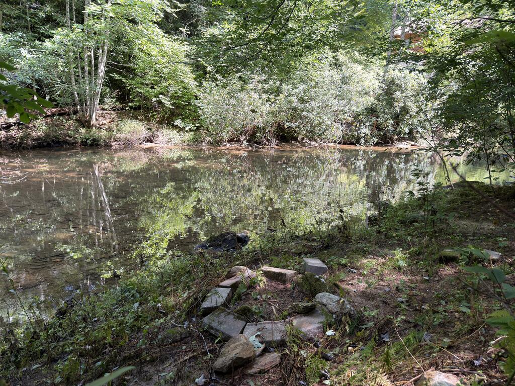 Tbd Baltimore Road Hillsville, VA 24343 - Photo 22 of 50 Gallery Image 22